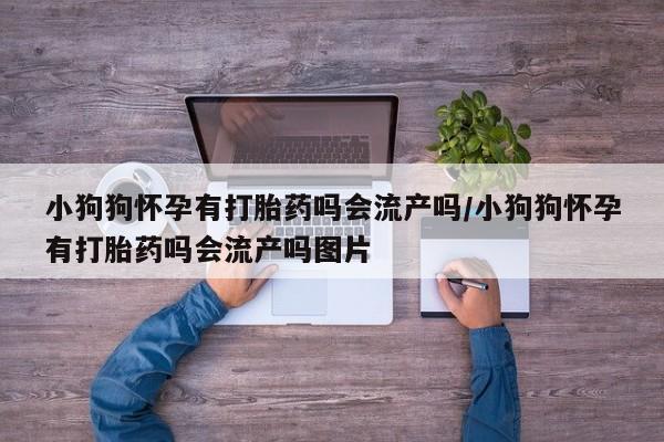 网上买打胎药联系方式微信，小狗狗怀孕有打胎药吗会流产吗/小狗狗怀孕有打胎药吗会流产吗图片