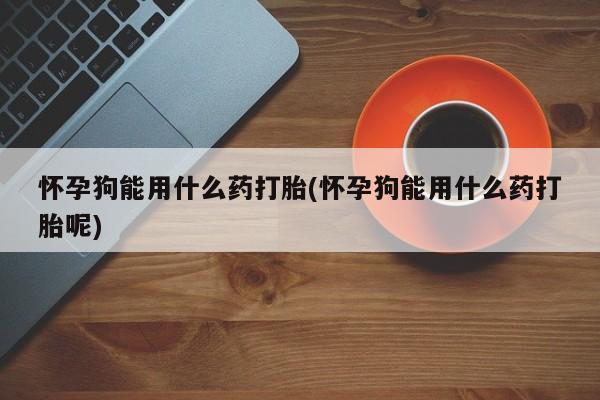 网上买打胎药联系方式微信，怀孕狗能用什么药打胎(怀孕狗能用什么药打胎呢)